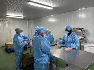 No photo description available.